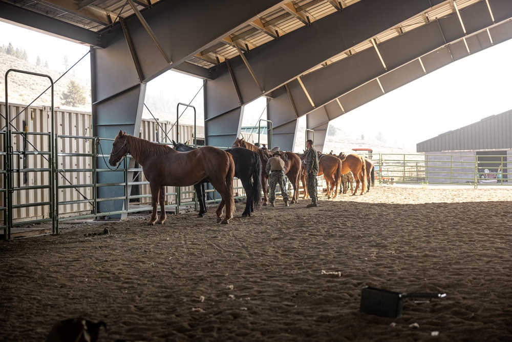Services members put boots to stirrups during Horsemanship and Animal Packers Course 2-25 