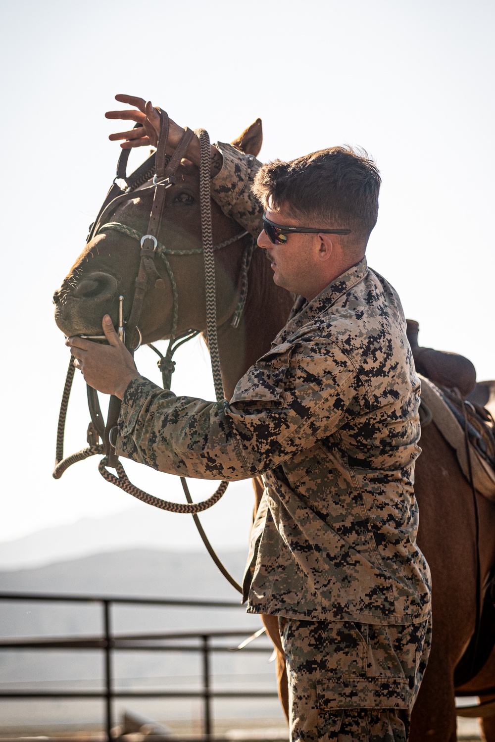 Services members put boots to stirrups during Horsemanship and Animal Packers Course 2-25 