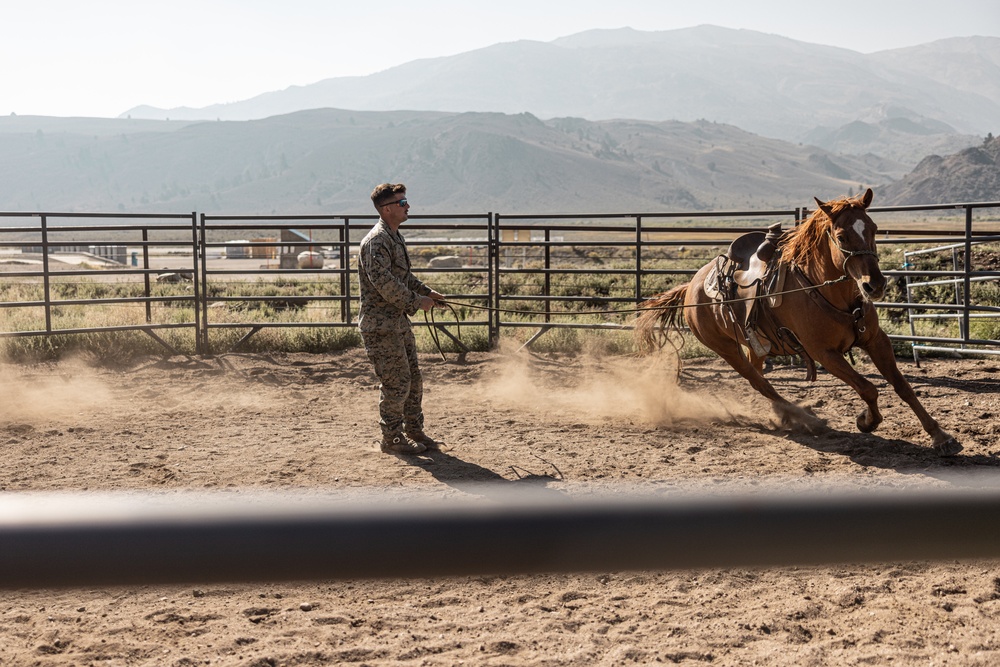 Services members put boots to stirrups during Horsemanship and Animal Packers Course 2-25 