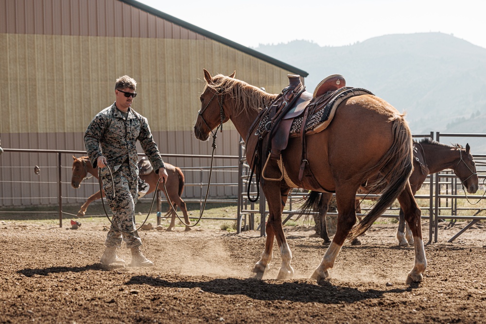 Services members put boots to stirrups during Horsemanship and Animal Packers Course 2-25 