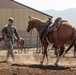 Services members put boots to stirrups during Horsemanship and Animal Packers Course 2-25 