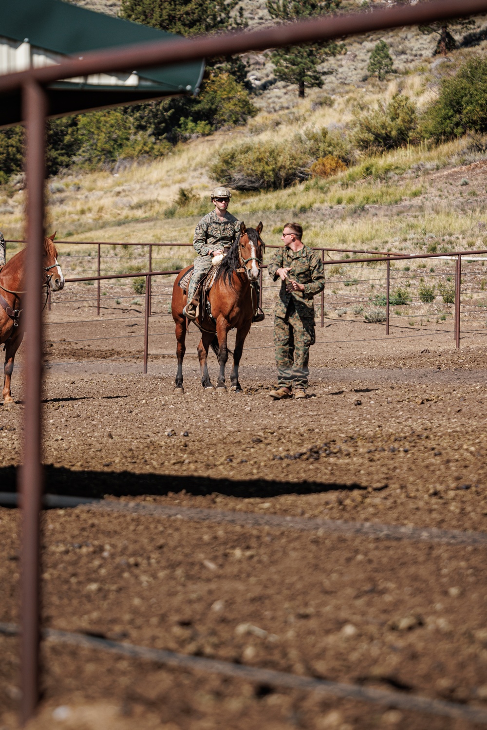 Services members put boots to stirrups during Horsemanship and Animal Packers Course 2-25 