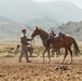 Services members put boots to stirrups during Horsemanship and Animal Packers Course 2-25 
