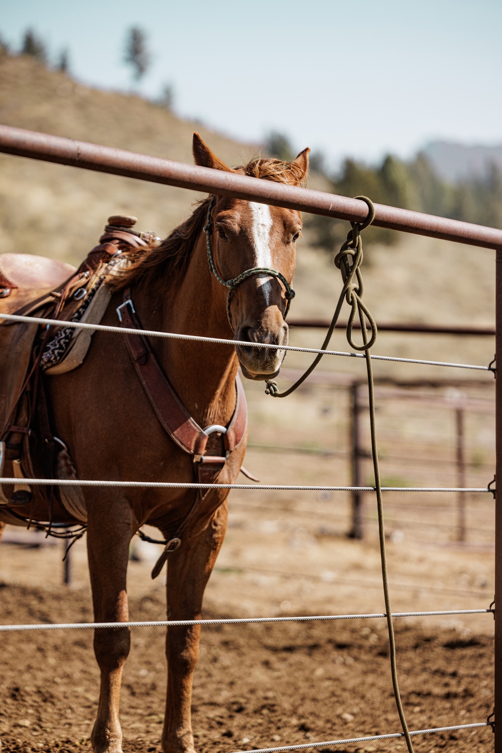 Services members put boots to stirrups during Horsemanship and Animal Packers Course 2-25 