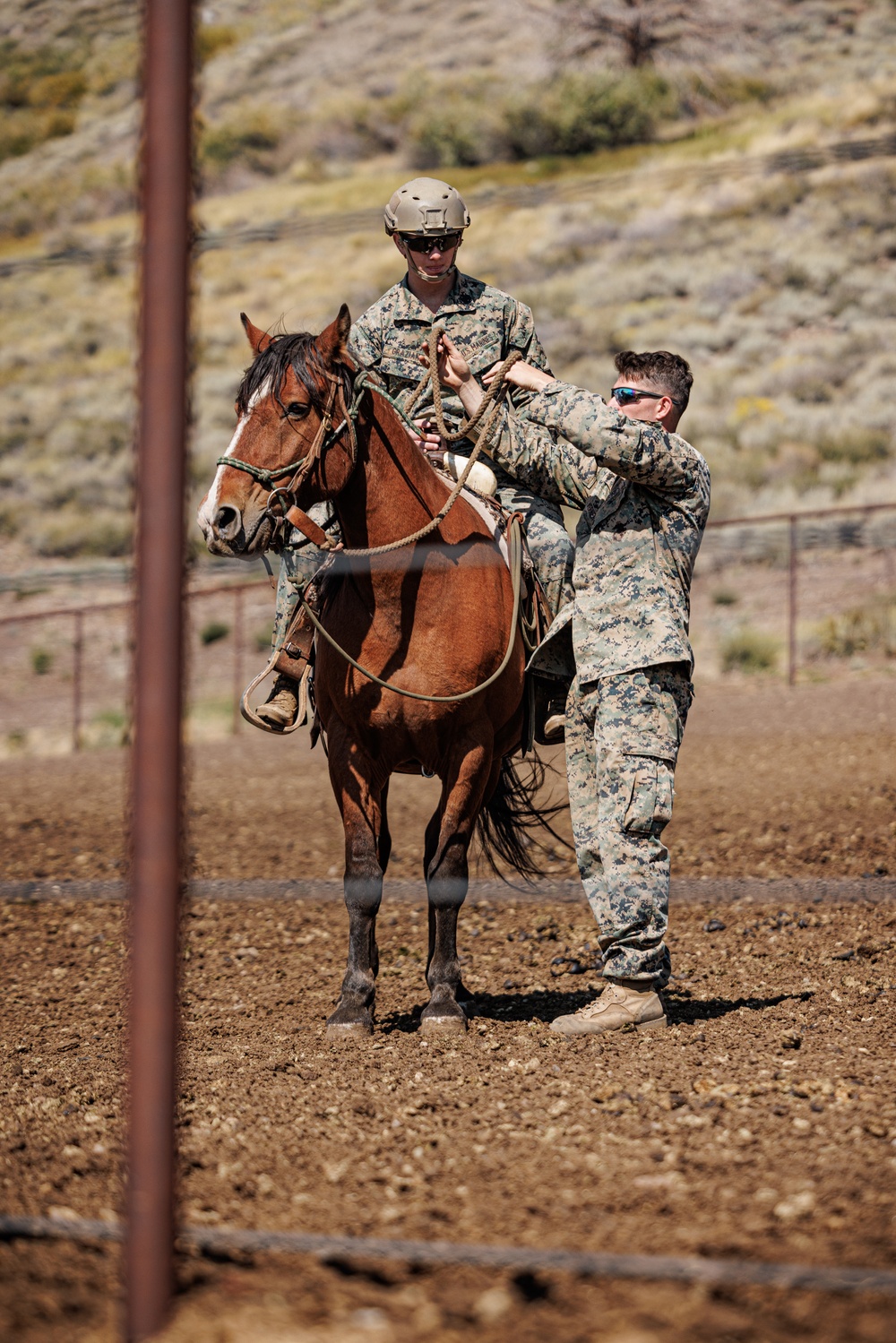Services members put boots to stirrups during Horsemanship and Animal Packers Course 2-25 