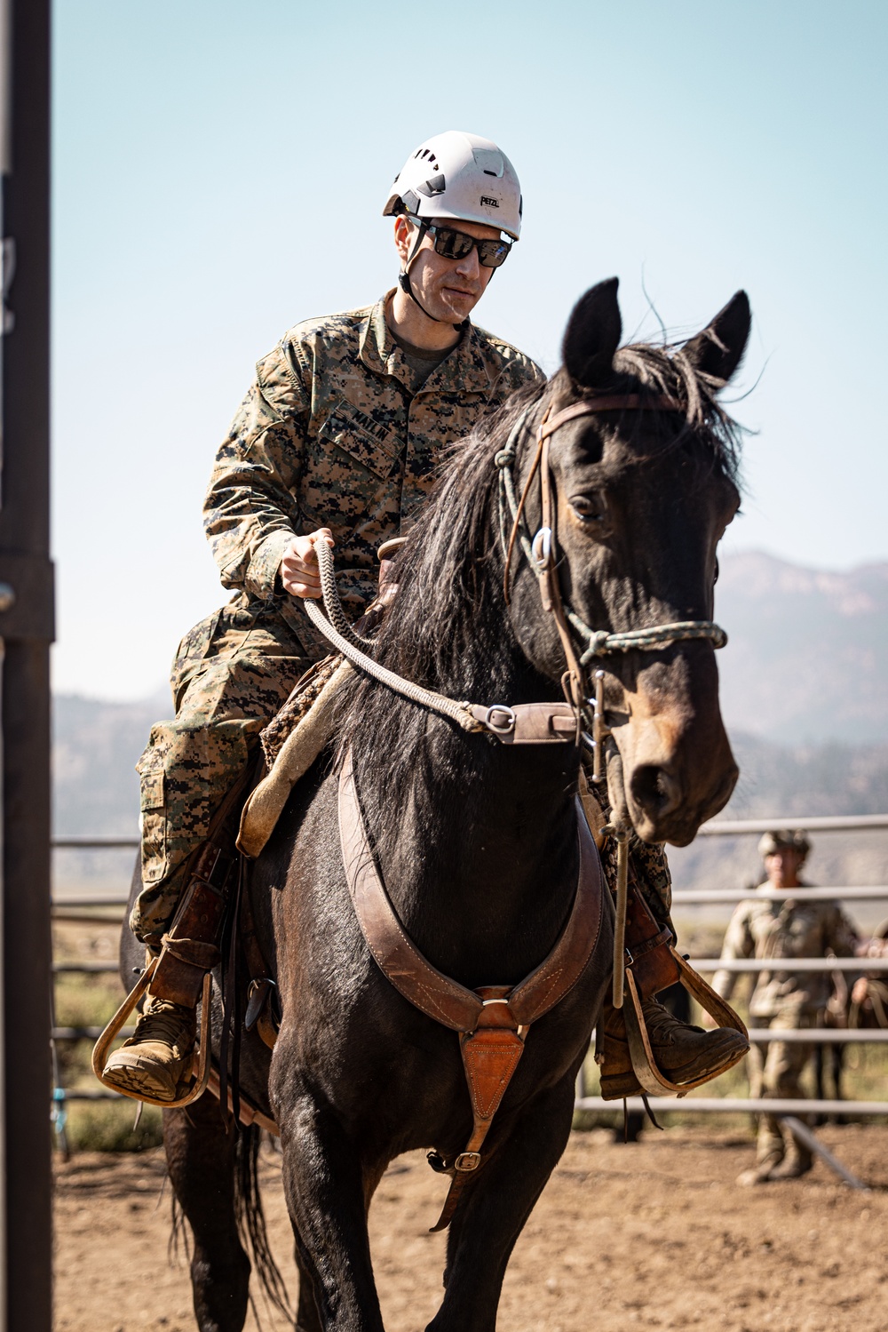Services members put boots to stirrups during Horsemanship and Animal Packers Course 2-25 