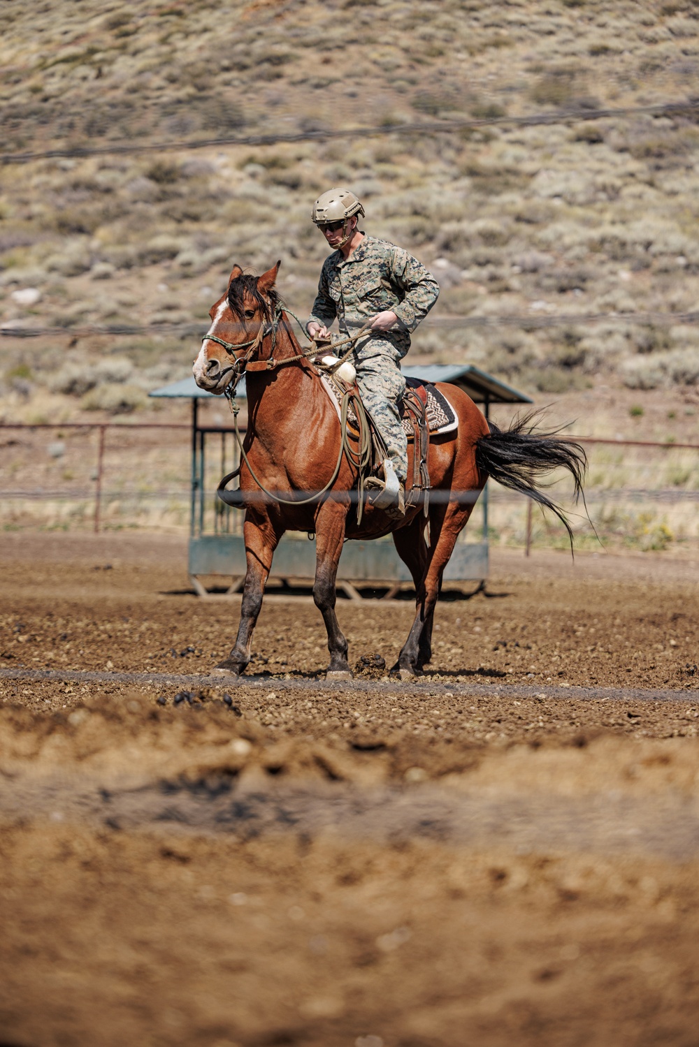 Services members put boots to stirrups during Horsemanship and Animal Packers Course 2-25 
