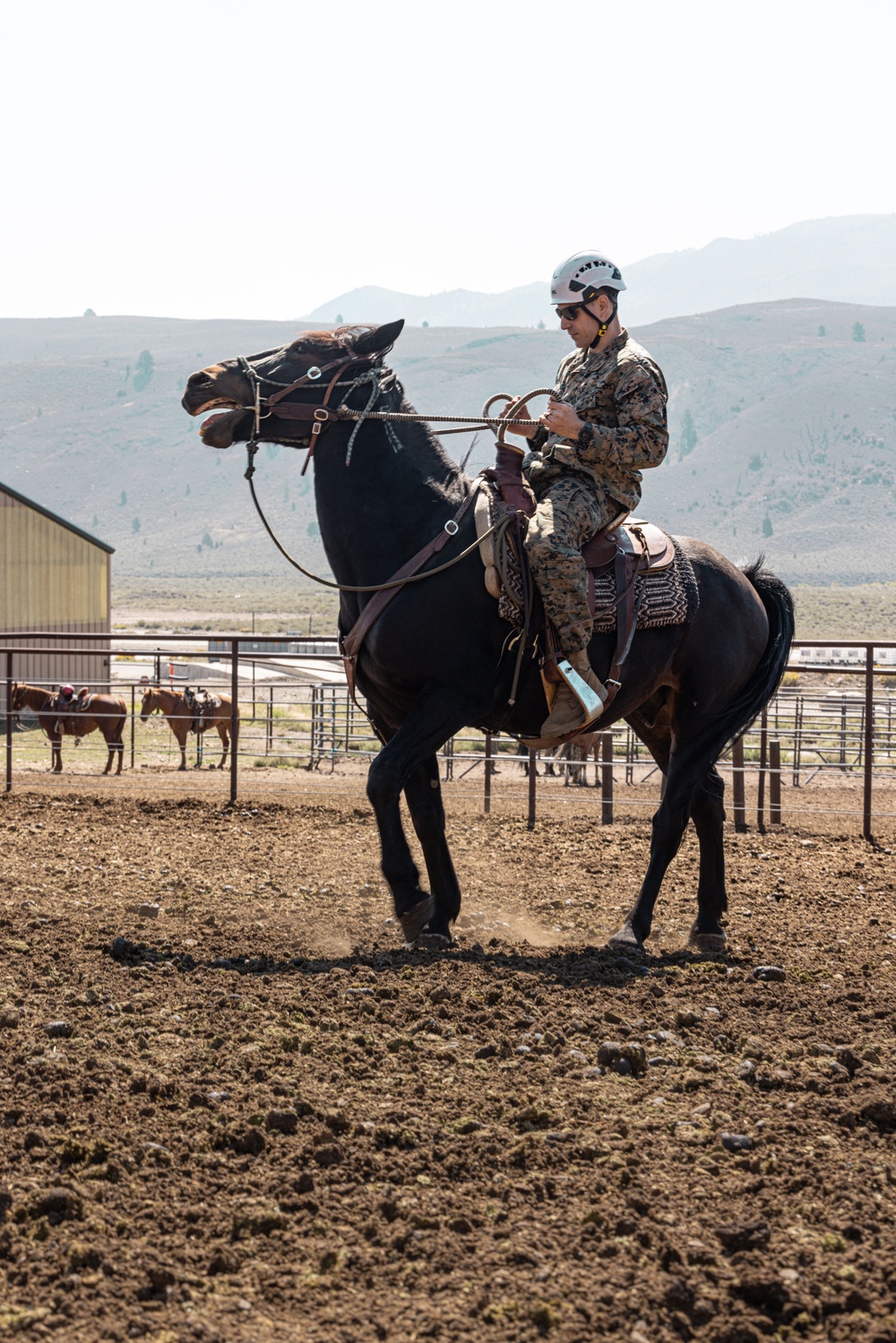 Services members put boots to stirrups during Horsemanship and Animal Packers Course 2-25 