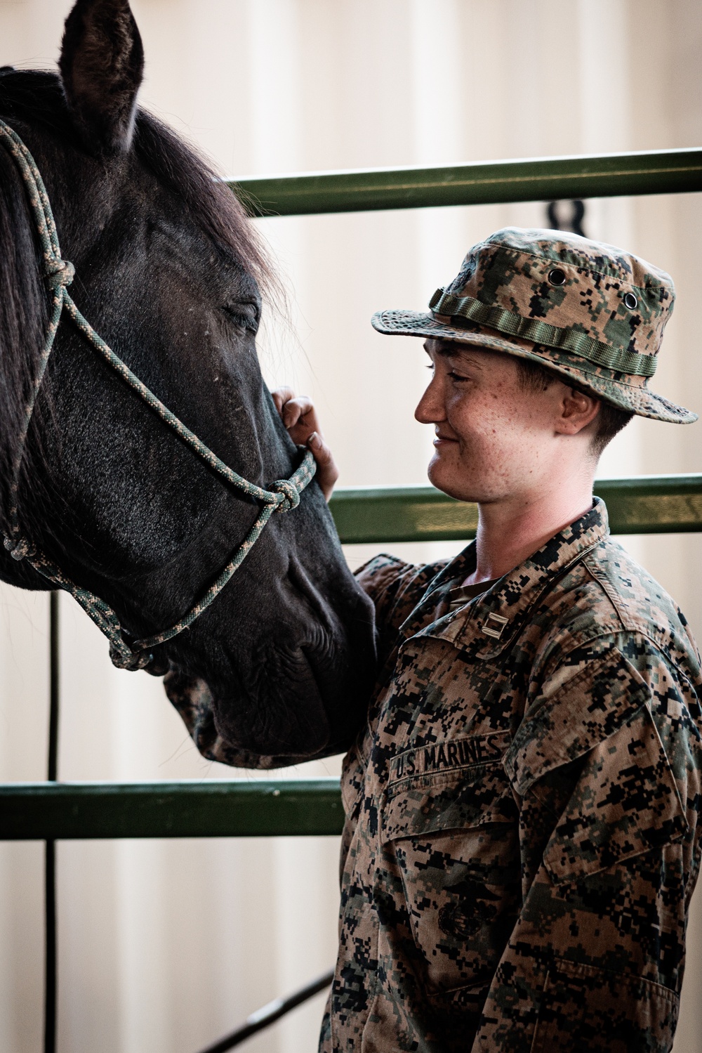 Services members put boots to stirrups during Horsemanship and Animal Packers Course 2-25 