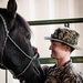 Services members put boots to stirrups during Horsemanship and Animal Packers Course 2-25 