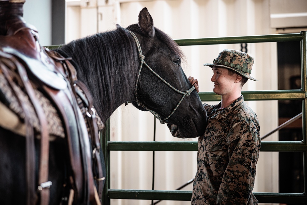 Services members put boots to stirrups during Horsemanship and Animal Packers Course 2-25 