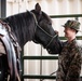 Services members put boots to stirrups during Horsemanship and Animal Packers Course 2-25 