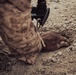 EOD Marines Participate in Joint Counter Explosive Hazard Training