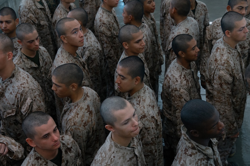 Alpha Company Water Survival