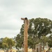 Golf Company Confidence Course