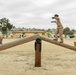 Golf Company Confidence Course