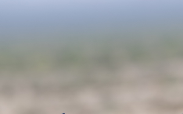 WTI 1-26:   Neros Archer First Person View drone Demonstration