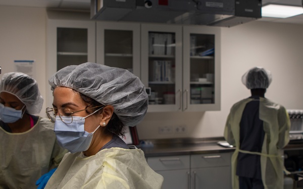 The 86th Dental Squadron: Working Hard for Bright Smiles