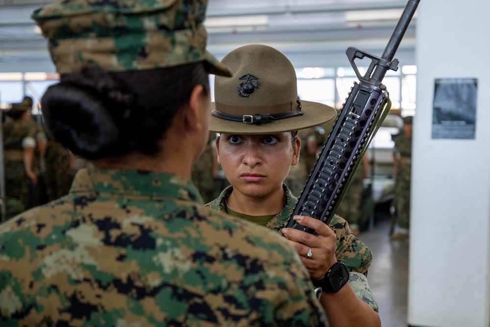 India Company Series Commander Inspection