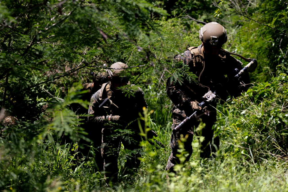 22nd MEU(SOC) | BLT 3/6 Scouts Train Breakout Maneuvers in Puerto Rico