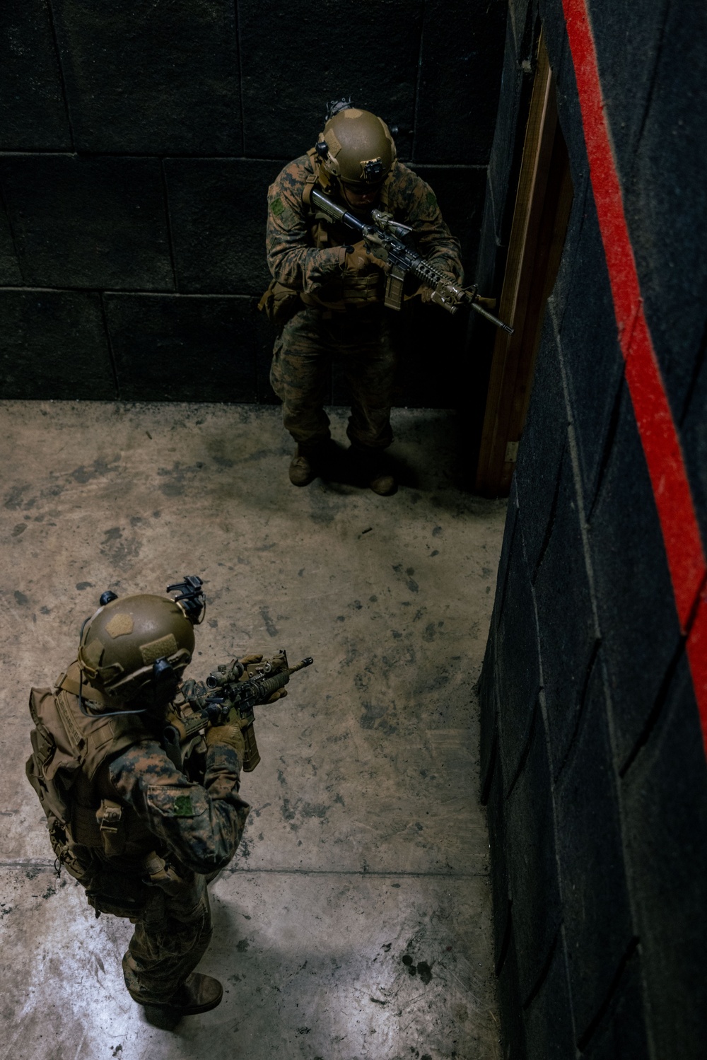 22nd MEU(SOC) | BLT 3/6 Scouts CQB Training in Camp Santiago, Puerto Rico