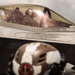VMFA-225 conducts flight operations in Puerto Rico