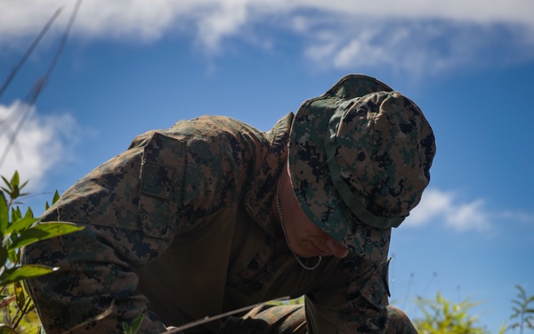 U.S. Marines, U.S. Army Pacific, and Special Operations Command Pacific Conduct Exercise Tenacious Archer 25 At Koror, Palau