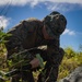 U.S. Marines, U.S. Army Pacific, and Special Operations Command Pacific Conduct Exercise Tenacious Archer 25 At Koror, Palau