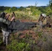 U.S. Marines, U.S. Army Pacific, and Special Operations Command Pacific Conduct Exercise Tenacious Archer 25 At Koror, Palau