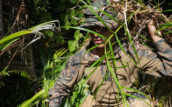 U.S. Marines, U.S. Army Pacific, and Special Operations Command Pacific Conduct Exercise Tenacious Archer 25 At Koror, Palau