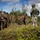 U.S. Marines, U.S. Army Pacific, and Special Operations Command Pacific Conduct Exercise Tenacious Archer 25 At Koror, Palau