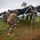 U.S. Marines, U.S. Army Pacific, and Special Operations Command Pacific Conduct Exercise Tenacious Archer 25 At Koror, Palau
