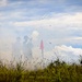 U.S. Marines, U.S. Army Pacific, and Special Operations Command Pacific Conduct Exercise Tenacious Archer 25 At Koror, Palau