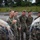 U.S. Marines, U.S. Army Pacific, and Special Operations Command Pacific Conduct Exercise Tenacious Archer 25 At Koror, Palau