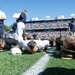 SW Hegseth Attends Navy, Air Force Football Game