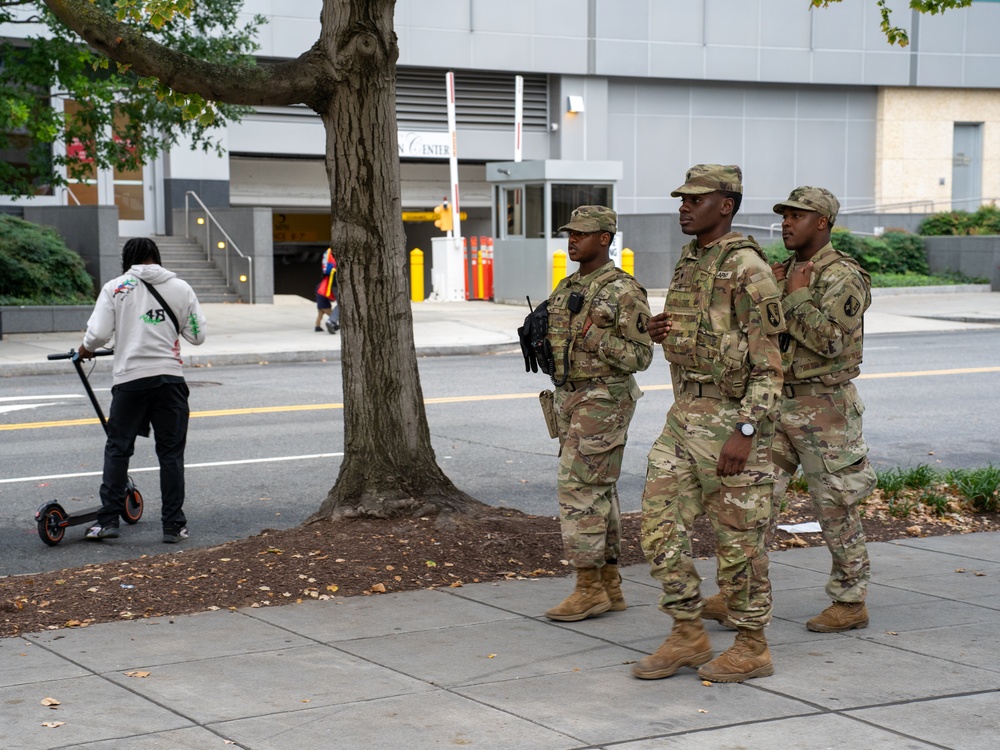 Soldiers provide a presence patrol in the National Mall