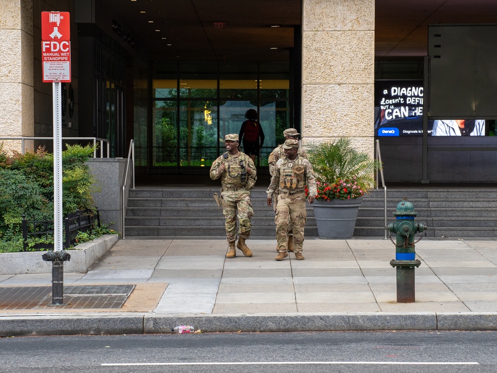 Soldiers provide a presence patrol in the National Mall