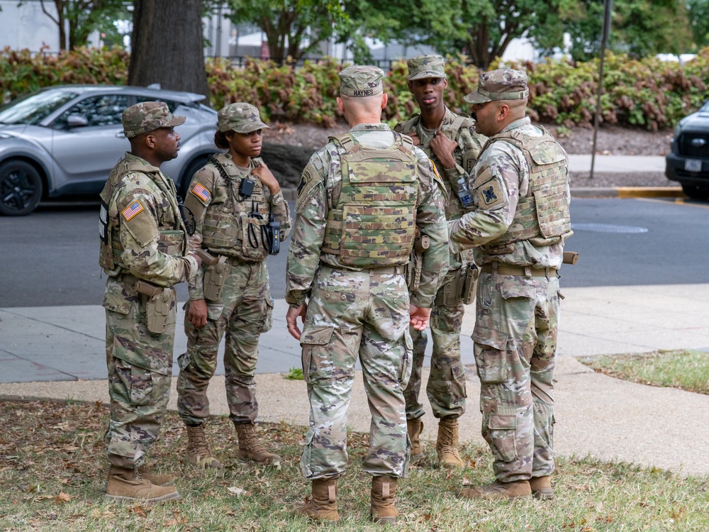 Soldiers provide a presence patrol in the National Mall