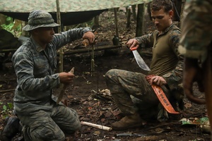 U.S. Army NATO Ministry Training - News in One Sept. 29, 2025