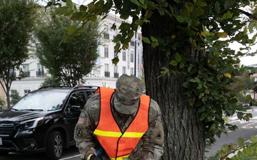 DC National Guard Beautification on 19th Street SE