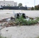DC National Guard Beautification on 19th Street SE