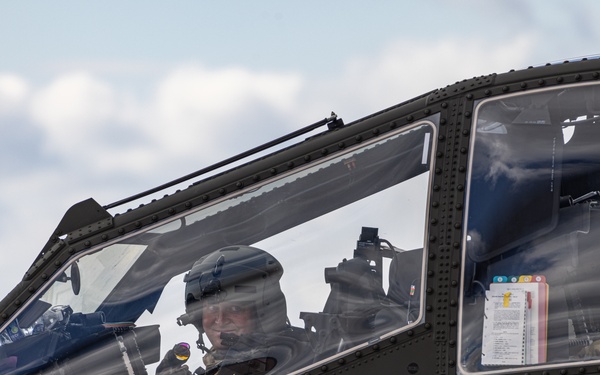 10th Mountain’s New Apaches - See, Strike, Move, and Extend