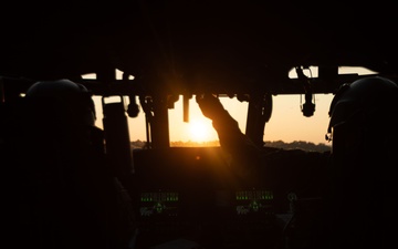 Exercise Phoenix Forge