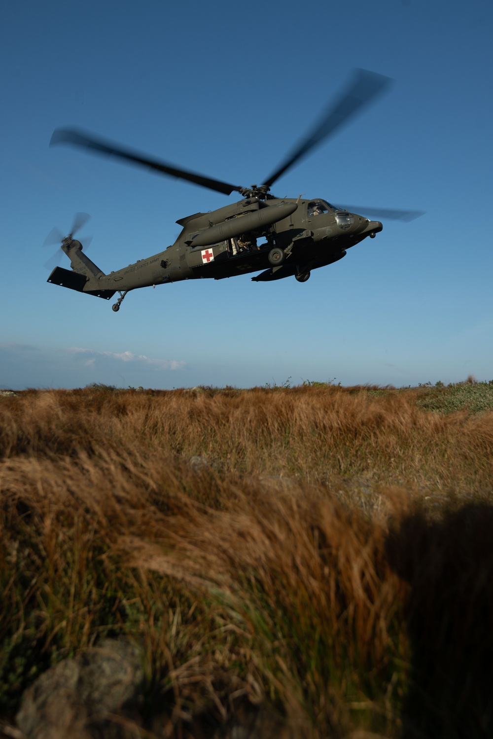 Exercise Phoenix Forge