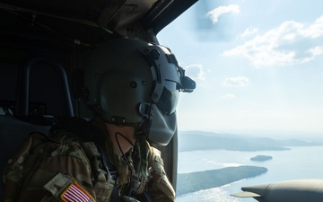 Exercise Phoenix Forge