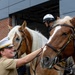 Navy and Marine Corps 250th Anniversary Celebration
