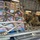 AKOM supports ongoing search and rescue mission in western Alaska AKOM supports ongoing search and rescue mission in western Alaska