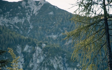 International Special Training Center hosts Alpine Sniper Course