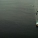 U.S. Navy, Philippine Navy, Japanese Maritime Self-Defense Force, and Royal Canadian Navy sail in formation
