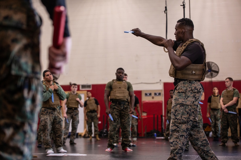 Marine Corps Martial Arts 25th year anniversary technique symposium